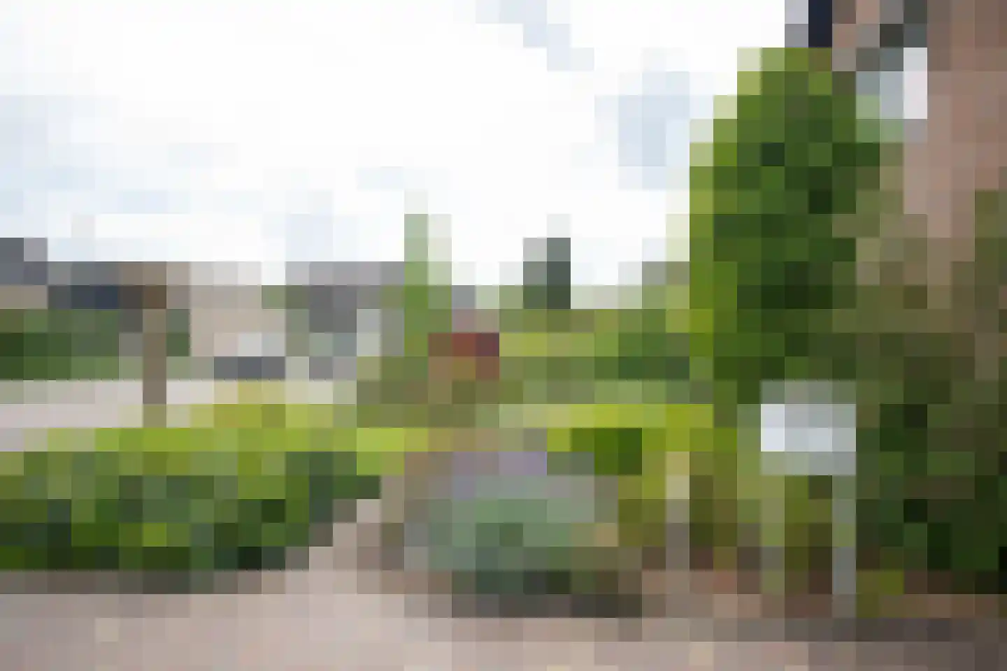 De Wulp 32 Vriezenveen thumbnail 7