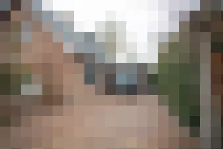 De Wulp 32 Vriezenveen thumbnail 7