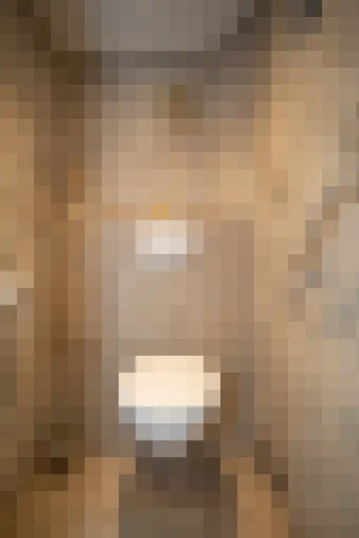 De Wulp 32 Vriezenveen thumbnail 9