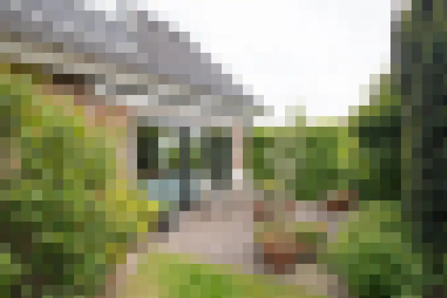 De Wulp 32 Vriezenveen thumbnail 9