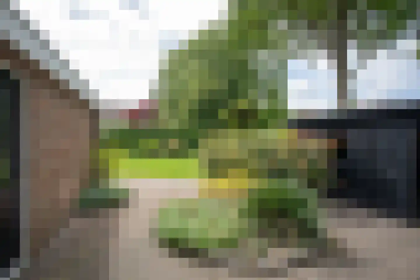 De Wulp 32 Vriezenveen thumbnail 9