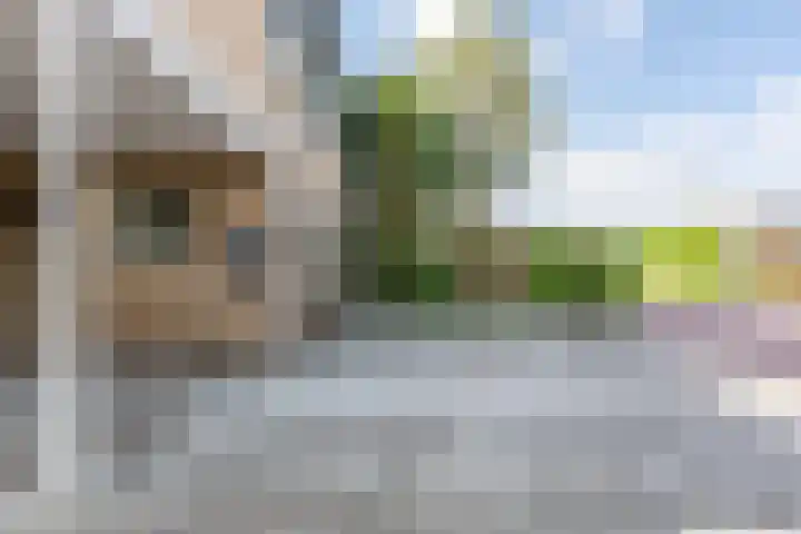 De Wulp 48 Hoogeveen thumbnail 10