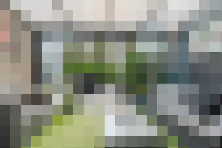 De Wulp 48 Hoogeveen thumbnail 35