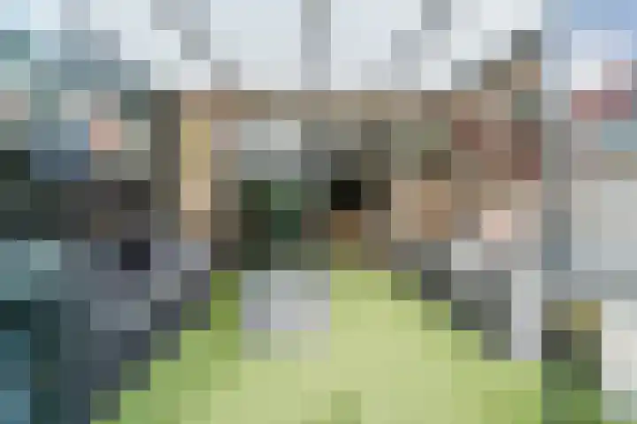 De Wulp 48 Hoogeveen thumbnail 36
