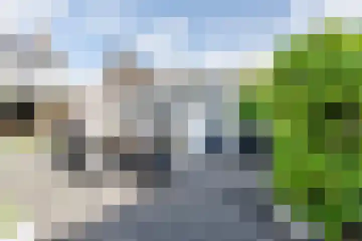 De Wulp 48 Hoogeveen thumbnail 37