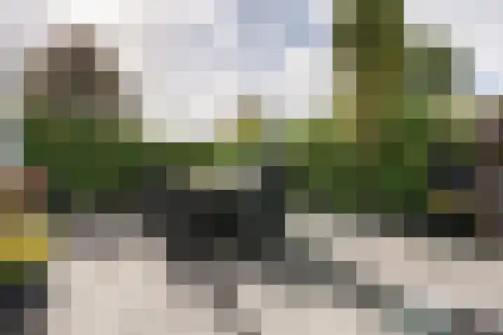 De Wulp 48 Hoogeveen thumbnail 40