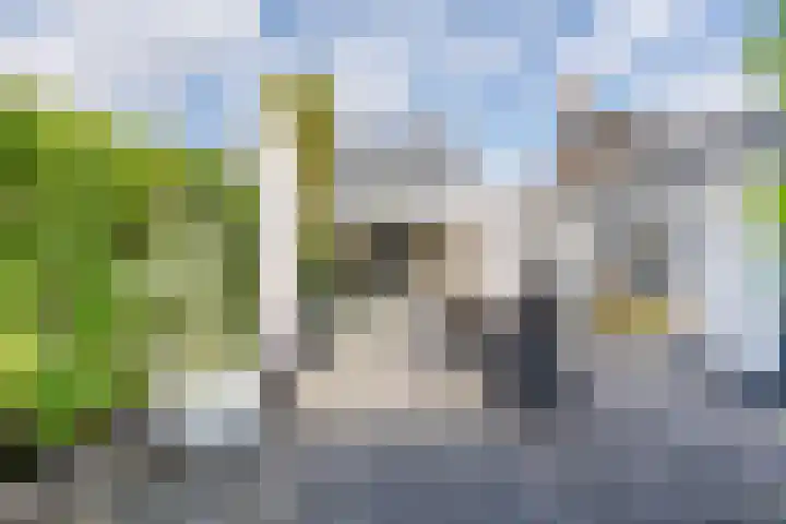 De Wulp 48 Hoogeveen thumbnail 6