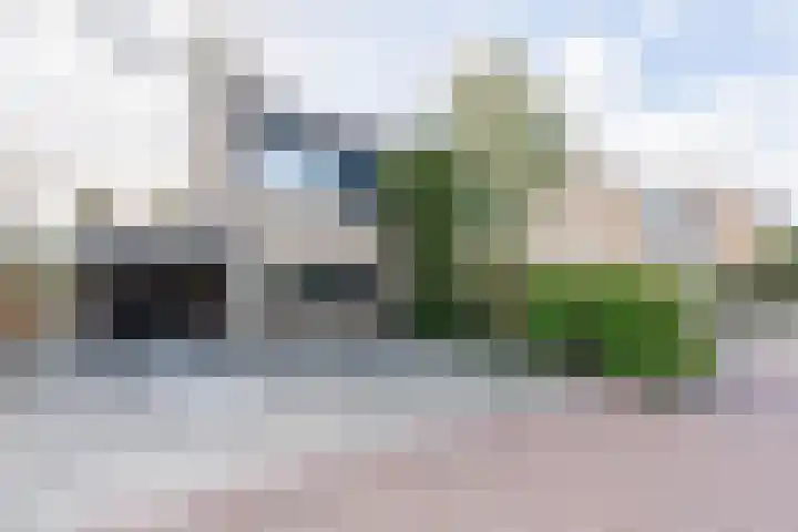 De Wulp 48 Hoogeveen thumbnail 8