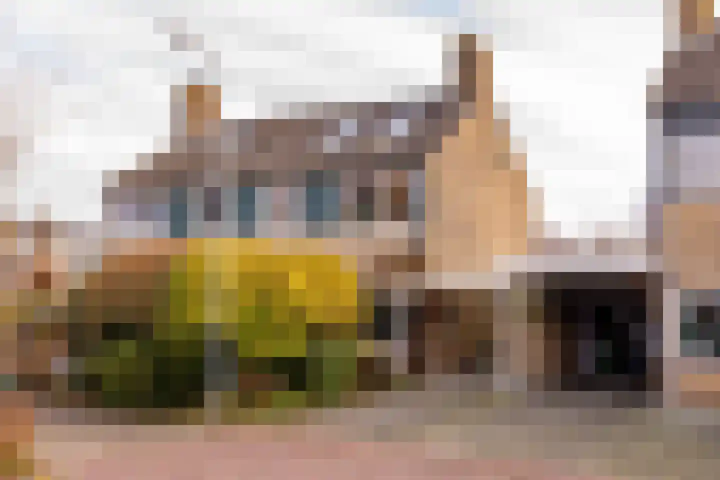 De Wulp 50 Hoogeveen thumbnail 11