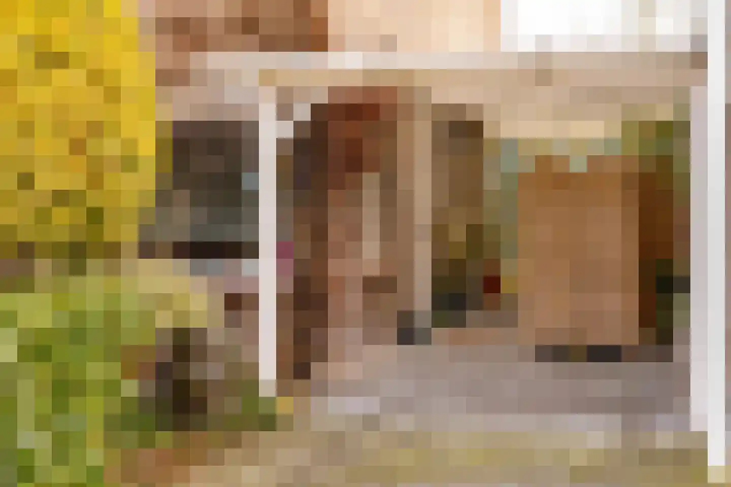 De Wulp 50 Hoogeveen thumbnail 12