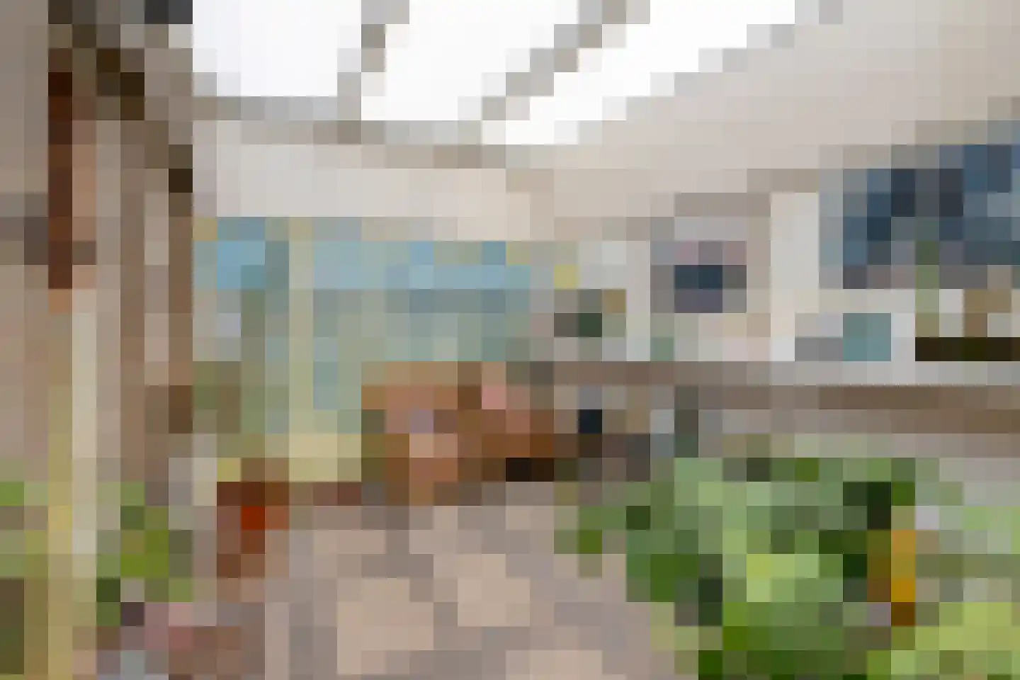De Wulp 50 Hoogeveen thumbnail 13