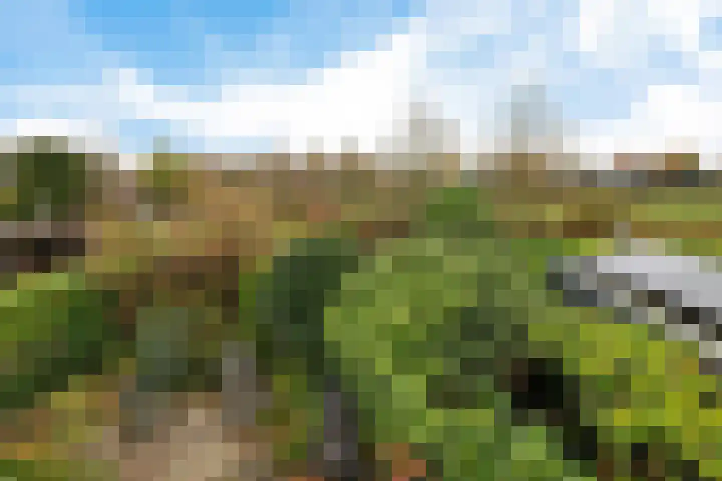 De Wulp 50 Hoogeveen thumbnail 33