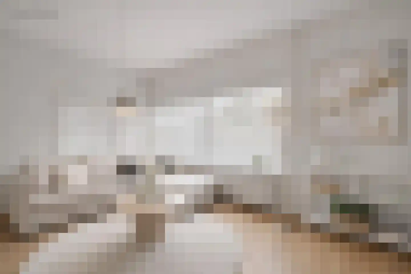 De Wulp 50 Hoogeveen thumbnail 4