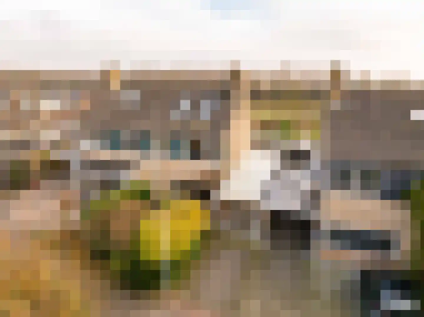 De Wulp 50 Hoogeveen thumbnail 46