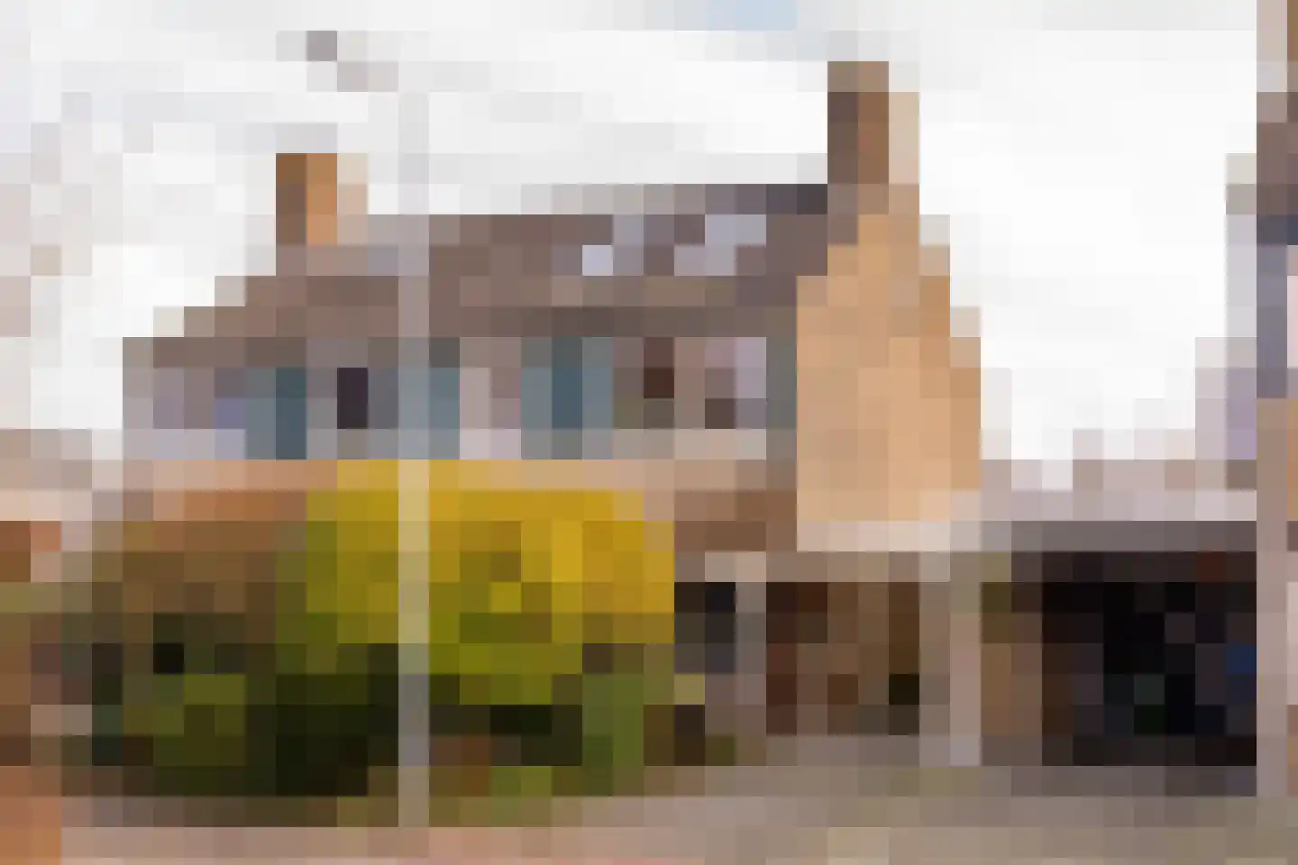 De Wulp 50 Hoogeveen thumbnail 47