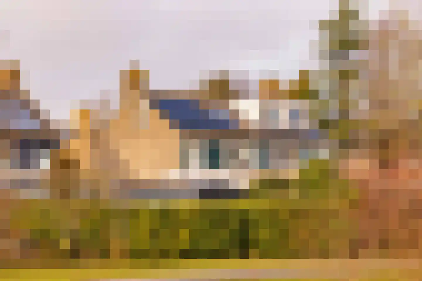 De Wulp 50 Hoogeveen thumbnail 48
