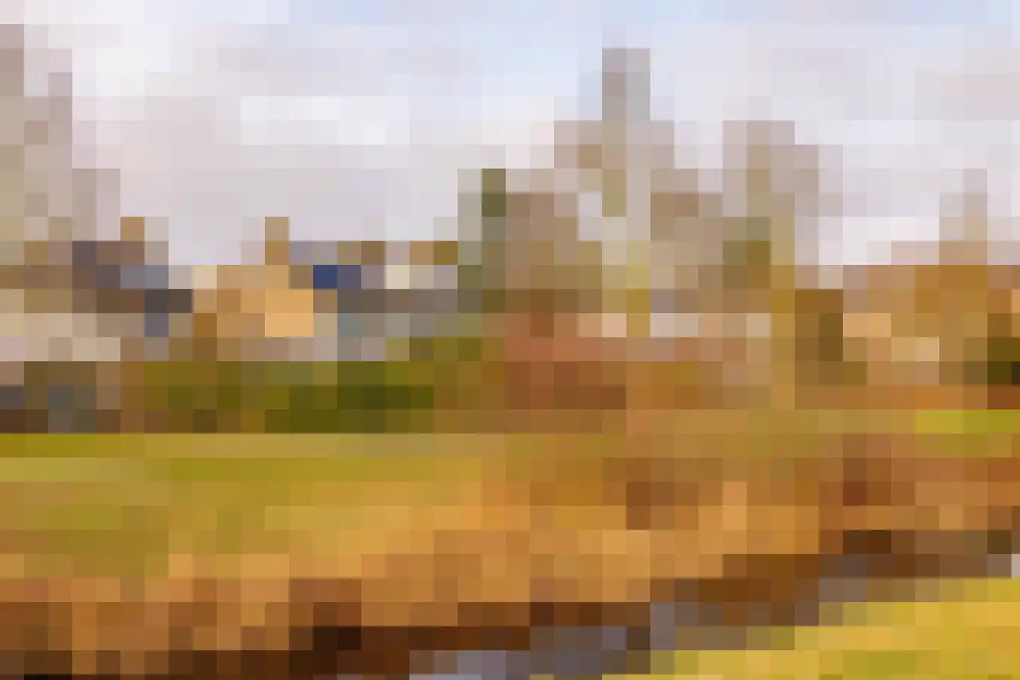De Wulp 50 Hoogeveen thumbnail 49
