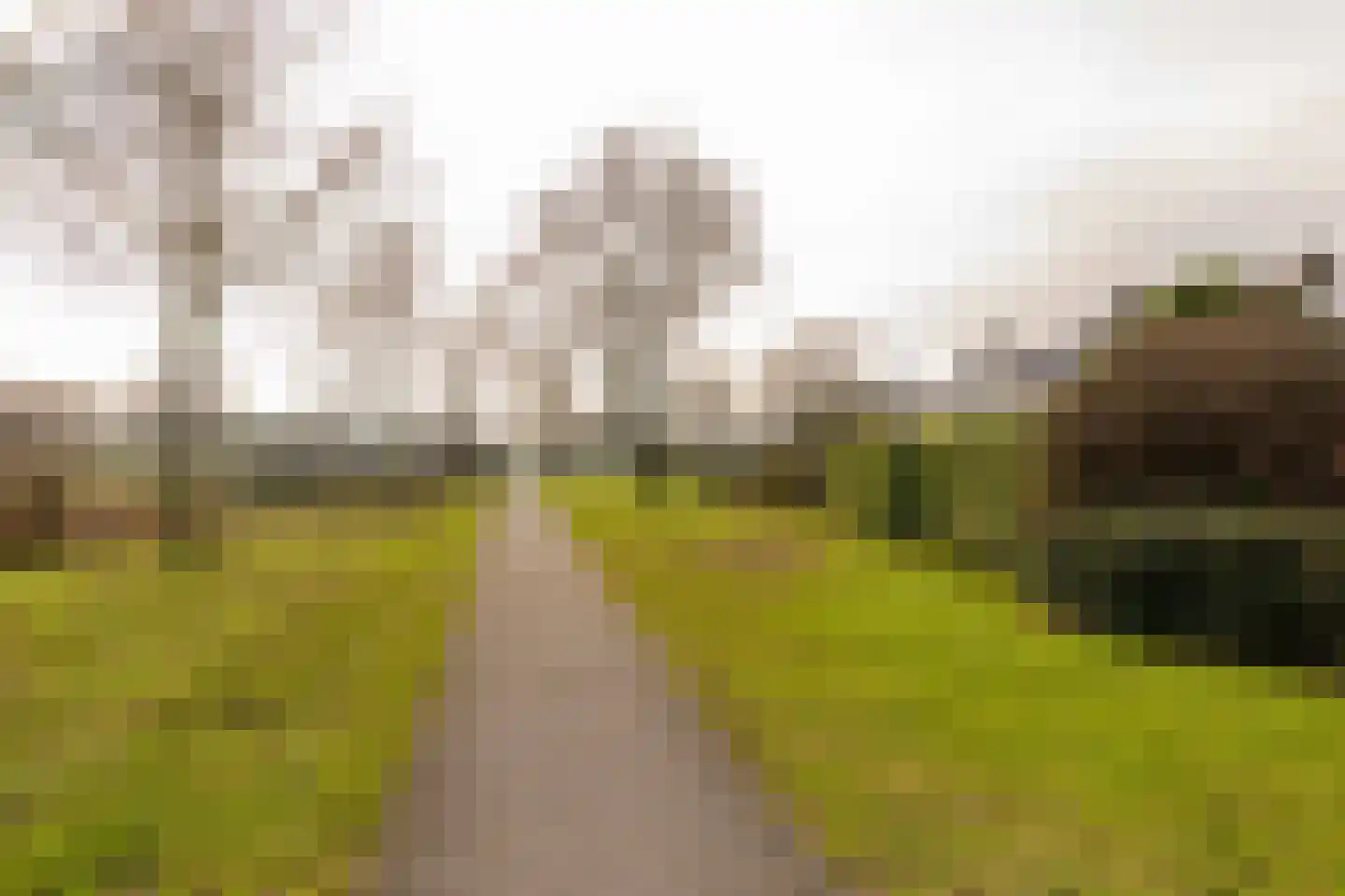 De Wulp 50 Hoogeveen thumbnail 50