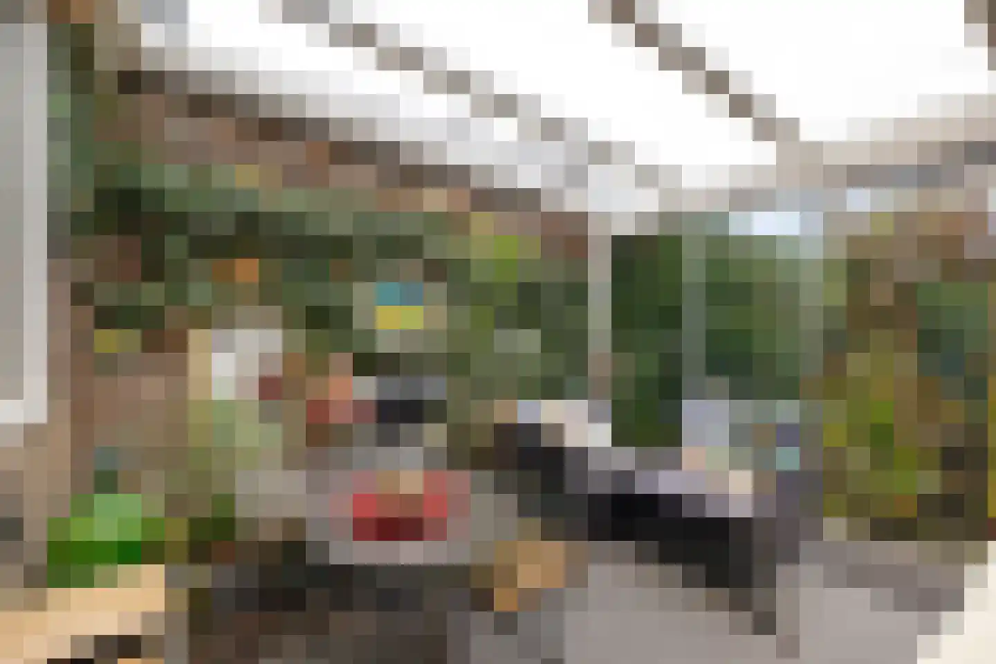 De Wulp 50 Hoogeveen thumbnail 8