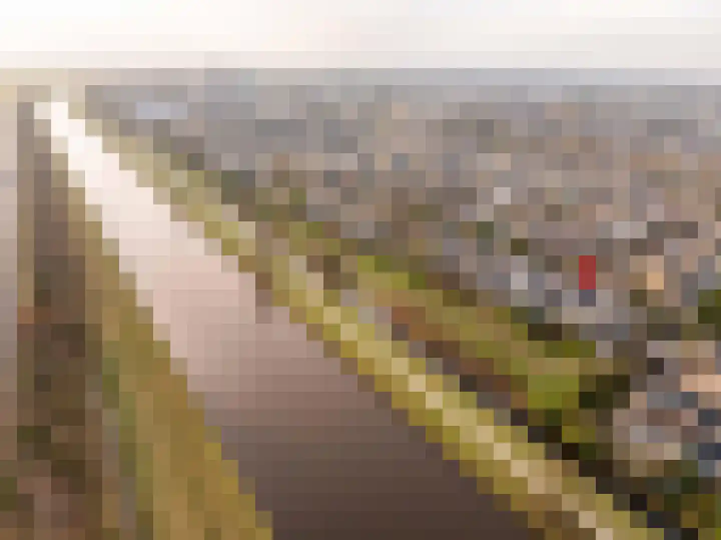 De Wulp 50 Hoogeveen thumbnail 9