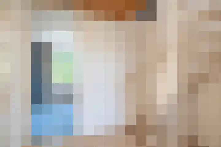 De Wulp 56 Hoogeveen thumbnail 32