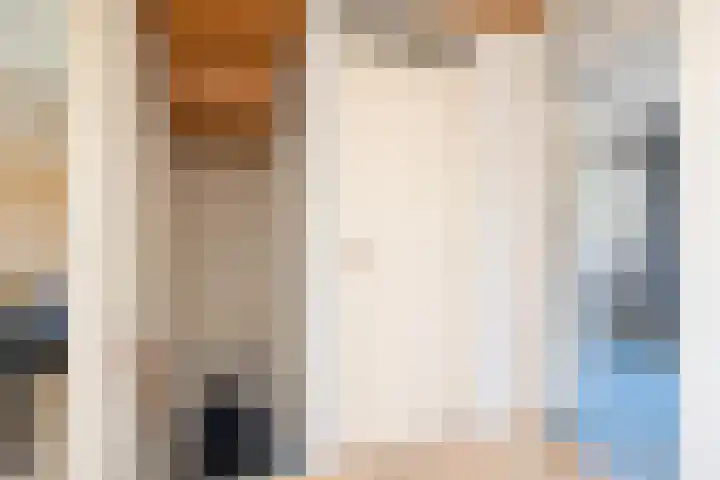 De Wulp 56 Hoogeveen thumbnail 36