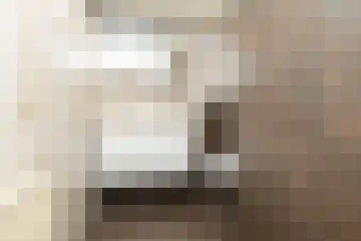 De Wulp 56 Hoogeveen thumbnail 37