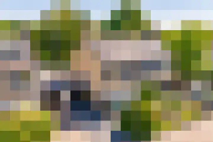 De Wulp 56 Hoogeveen thumbnail 6