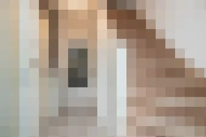 De Wulp 56 Hoogeveen thumbnail 8