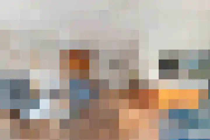 de Wulp 6 Denekamp thumbnail 12