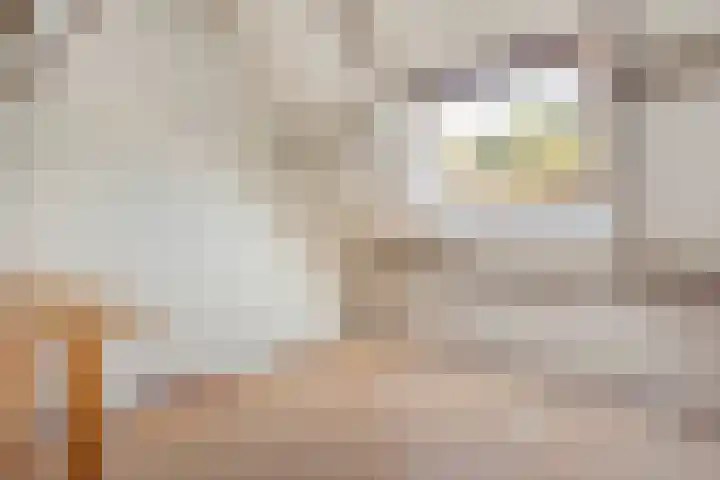 de Wulp 6 Denekamp thumbnail 21