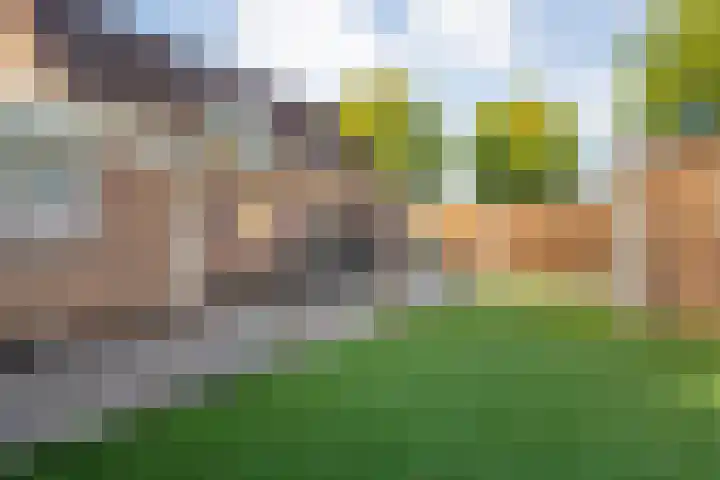 de Wulp 6 Denekamp thumbnail 22