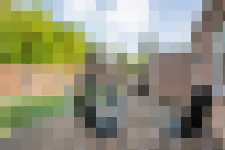 de Wulp 6 Denekamp thumbnail 23