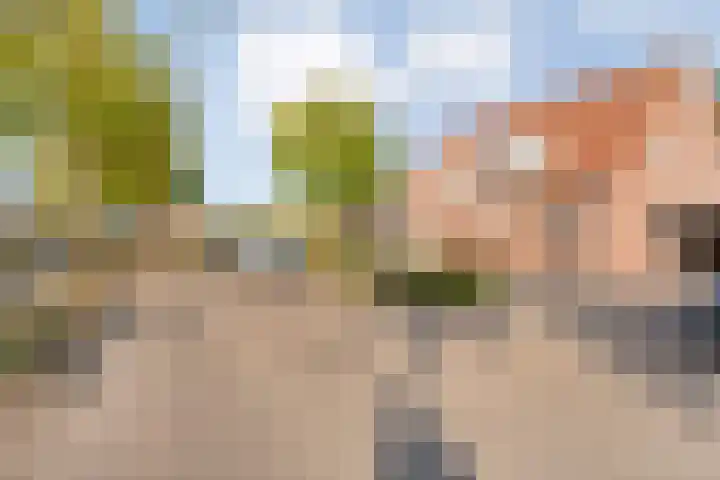 de Wulp 6 Denekamp thumbnail 24