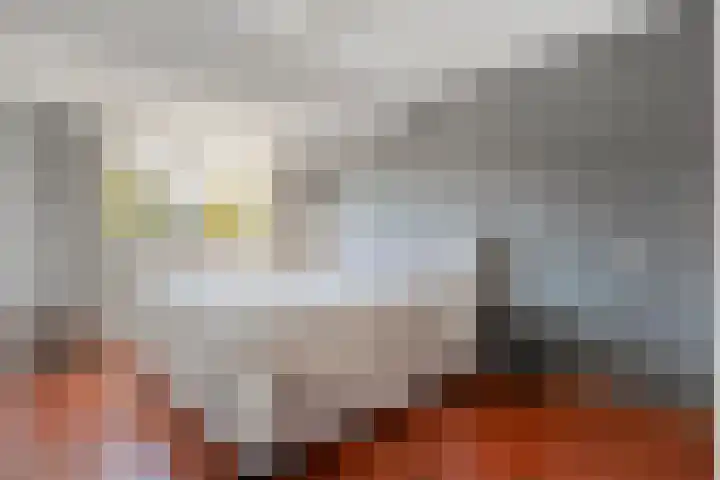 de Wulp 6 Denekamp thumbnail 4