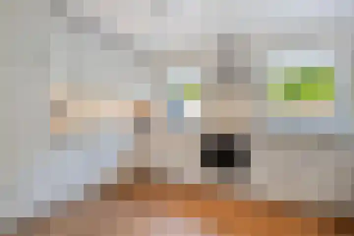 de Wulp 6 Denekamp thumbnail 8