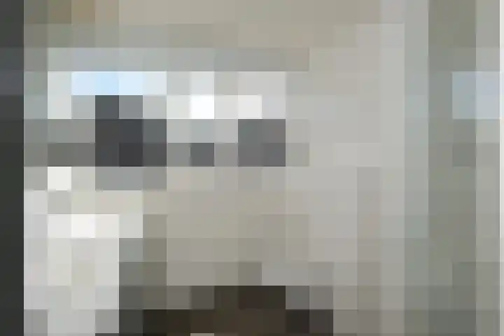 De Wulp 88 Almelo thumbnail 33