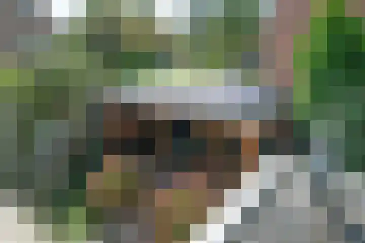 De Wulp 88 Almelo thumbnail 34