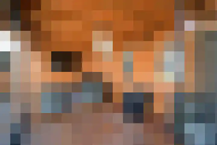 De Wulp 88 Almelo thumbnail 36