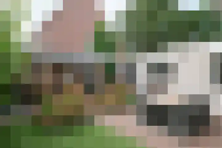 De Wulp 88 Almelo thumbnail 37