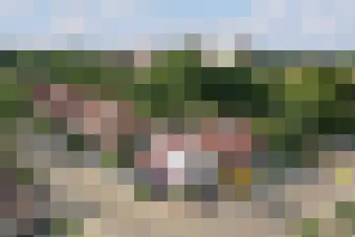De Wulp 88 Almelo thumbnail 39