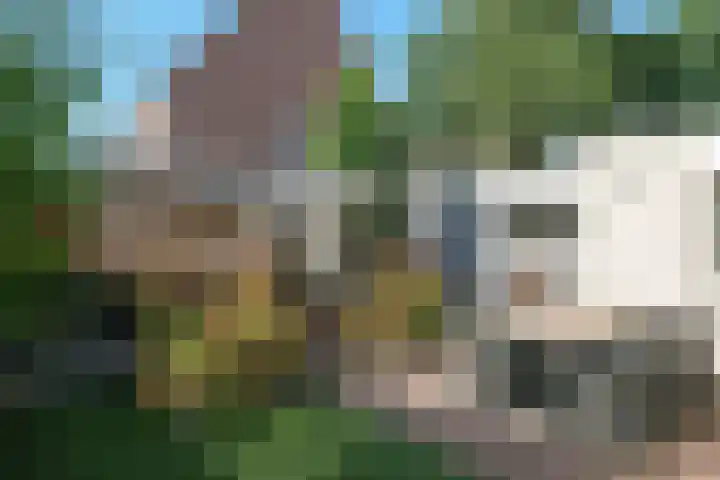 De Wulp 88 Almelo thumbnail 4