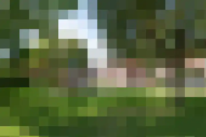 De Wulp 88 Almelo thumbnail 40