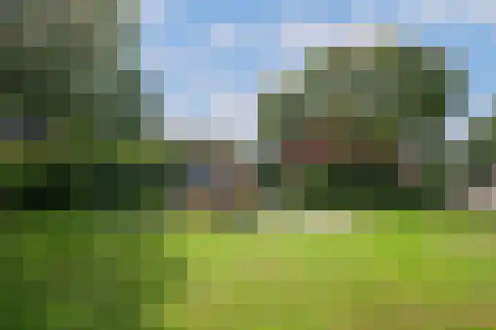 De Wulp 88 Almelo thumbnail 41