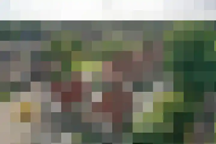 De Wulp 88 Almelo thumbnail 42