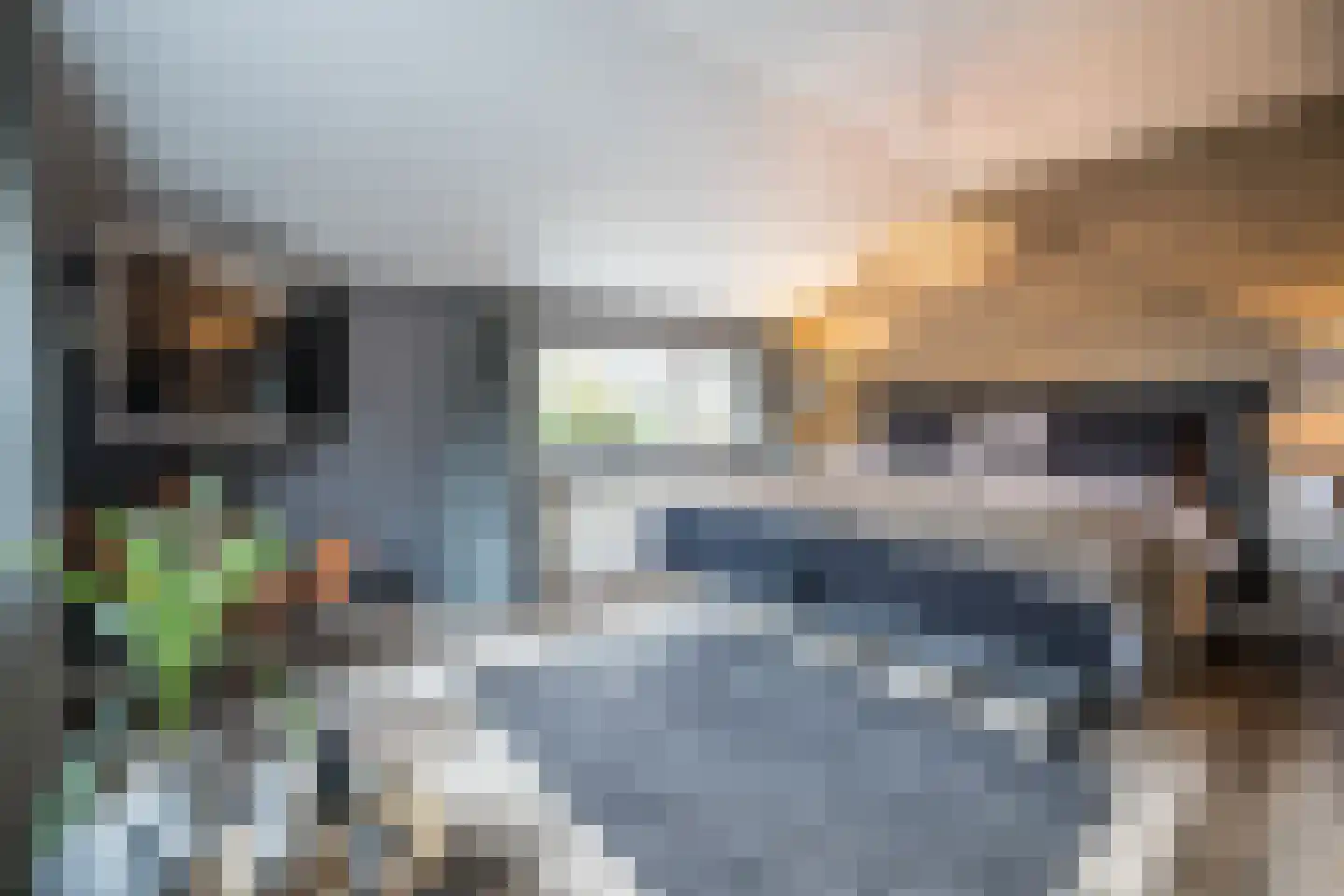 De Wulp 95 Almelo thumbnail 29