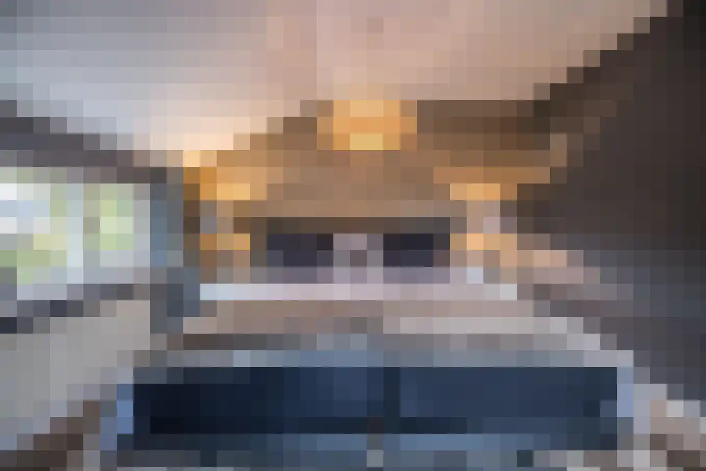 De Wulp 95 Almelo thumbnail 30