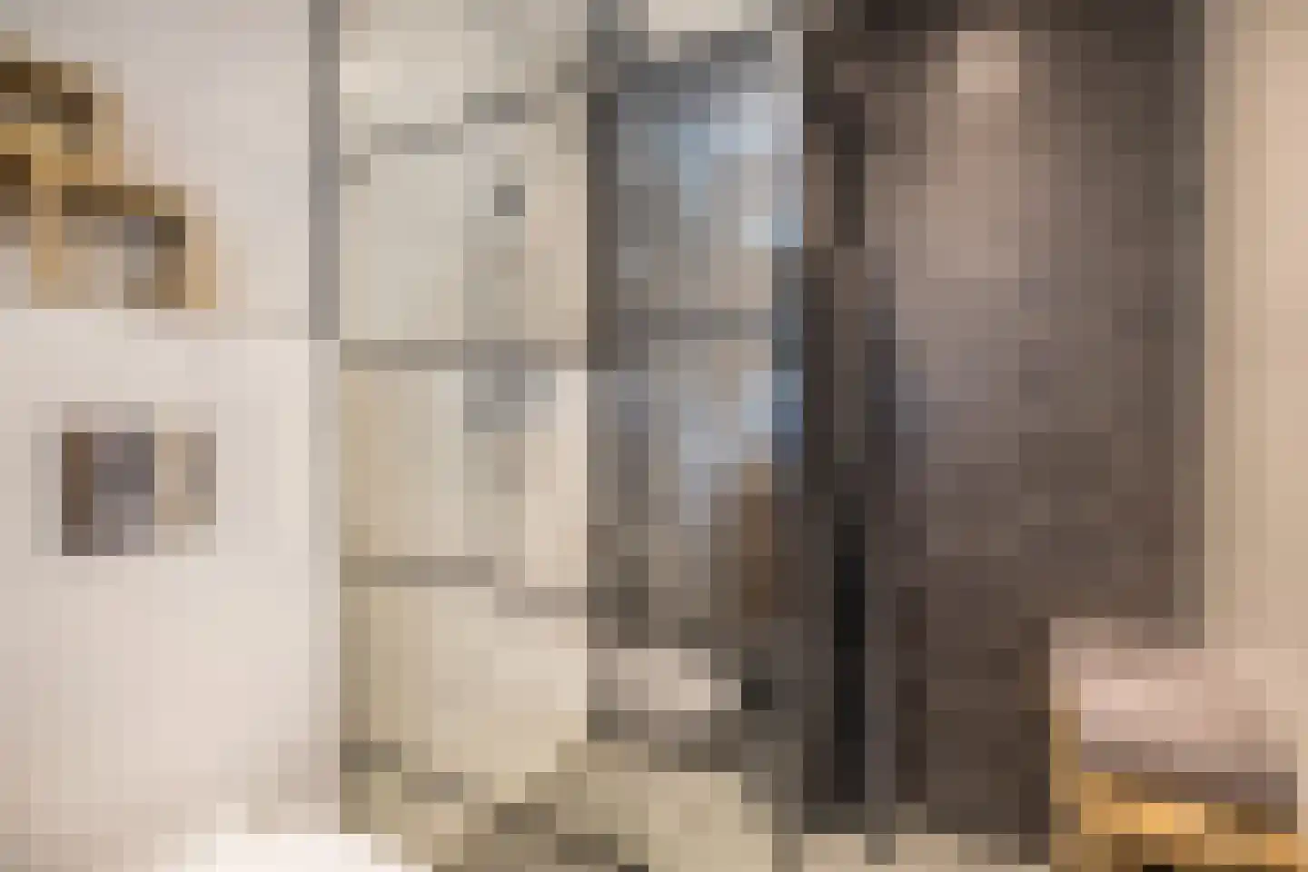 De Wulp 95 Almelo thumbnail 38