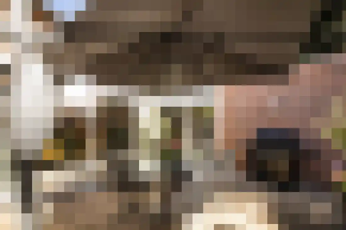 De Wulp 95 Almelo thumbnail 57