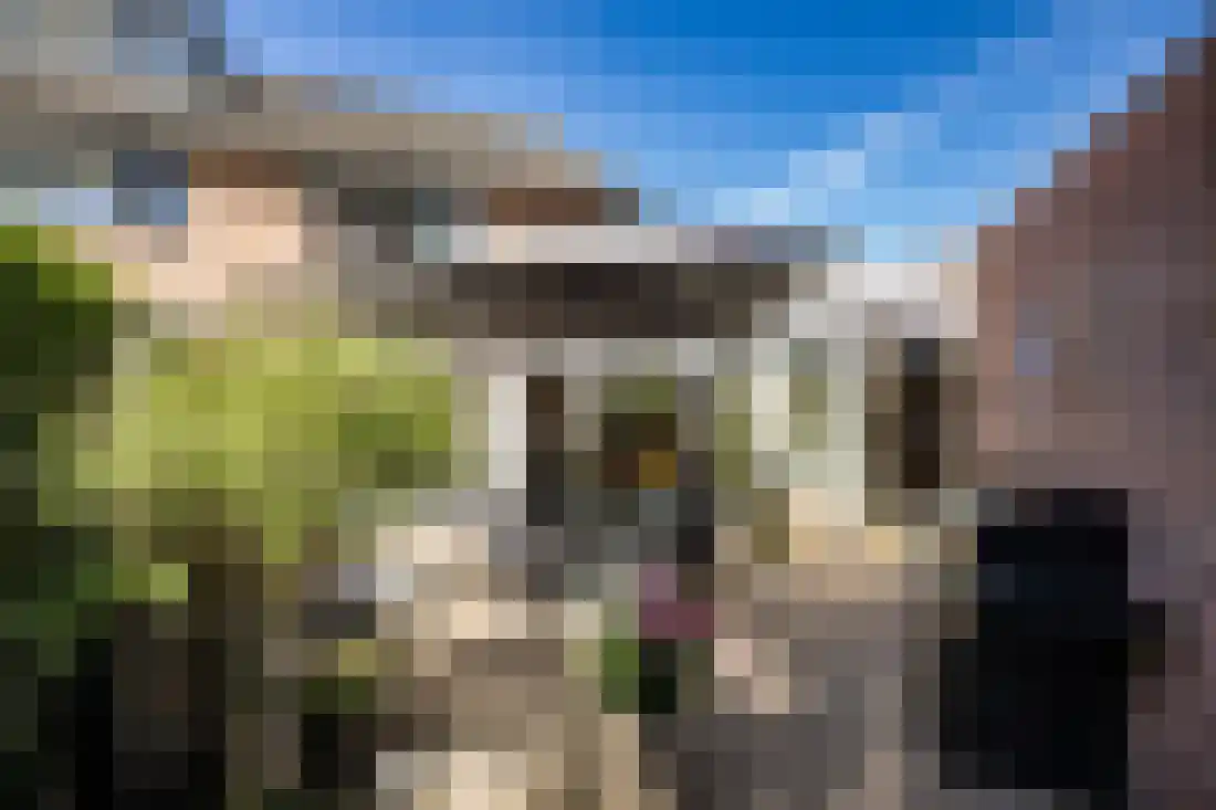 De Wulp 95 Almelo thumbnail 58